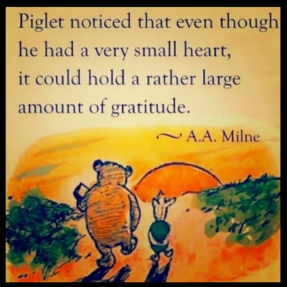 BLACK  COTTON Cardigan NPLC MOSSIMO SUPPLY CO Size M/L - Picture 5 of 16